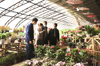 年前督查不放松，嚴把禮品花卉銷售規范關