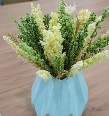 奮進新征程 建功新時代 | “90后”返鄉青年 一根網線，讓家鄉花卉走向世界